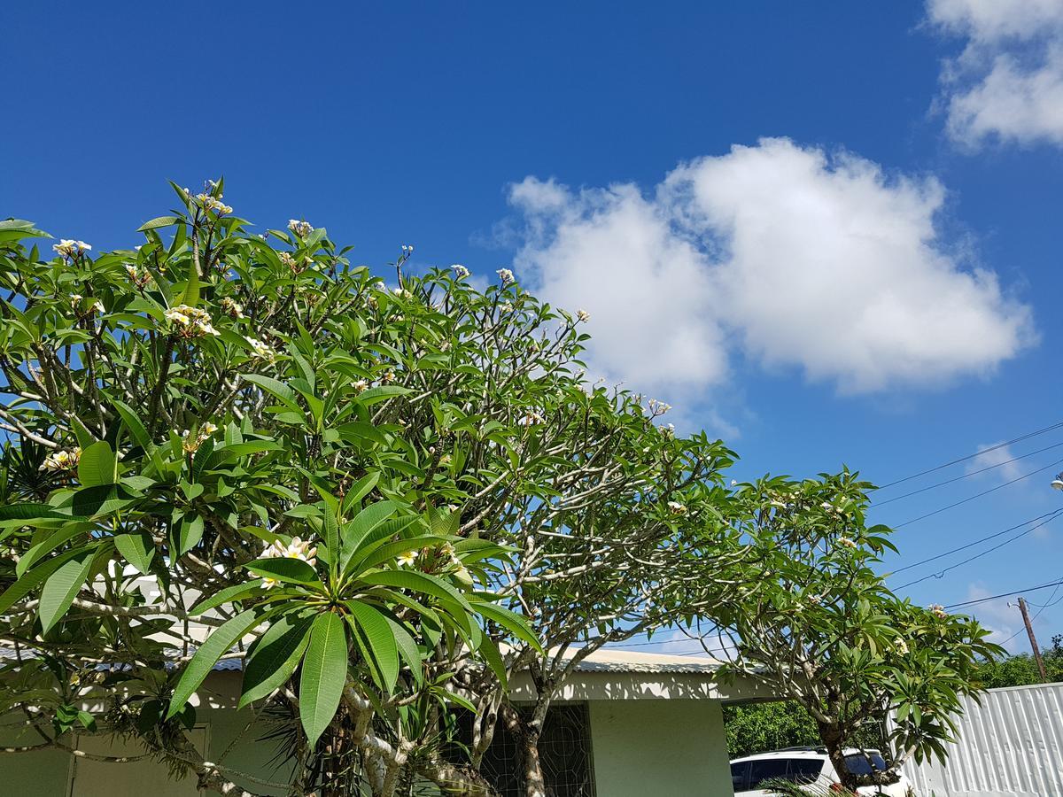 Saipan Family Residence Susupe Kültér fotó